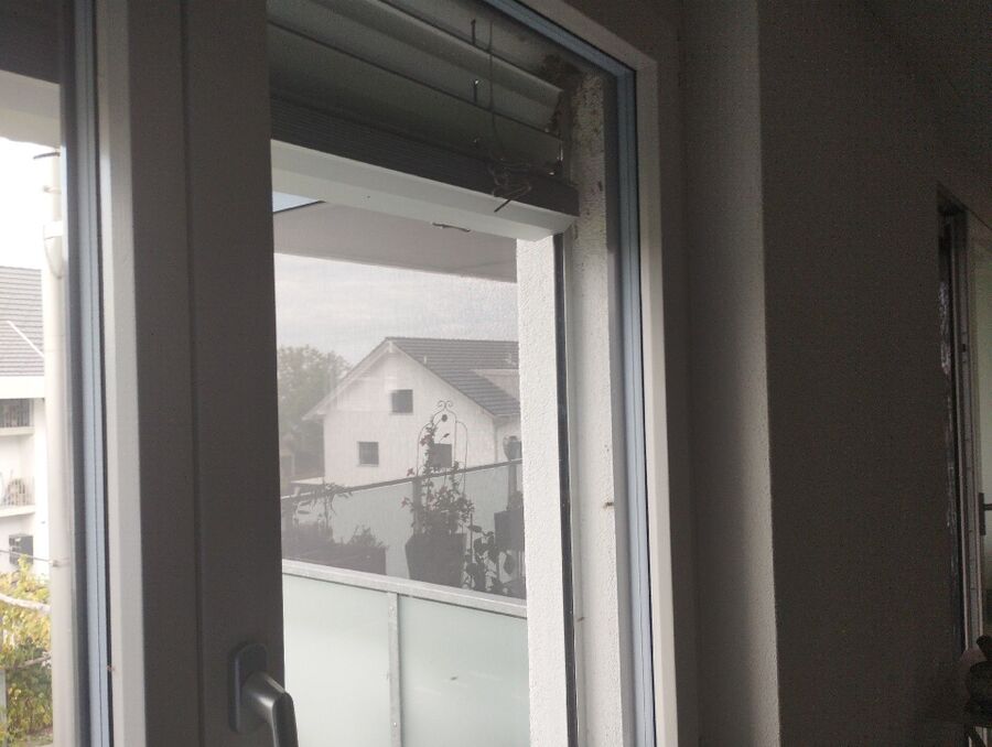  Bienennest entfernen