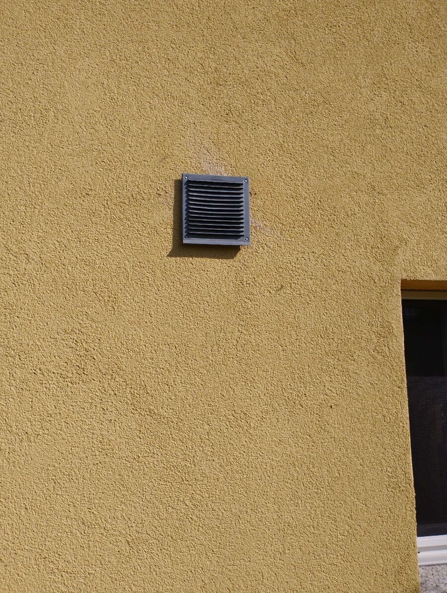 Bienen umsiedeln &  Bienennest entfernen 