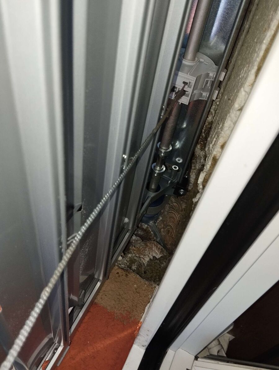 Bienen umsiedeln &  Bienennest entfernen 