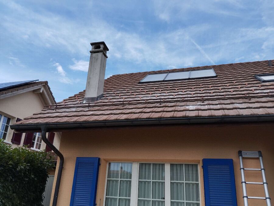  Bienennest entfernen.jpeg