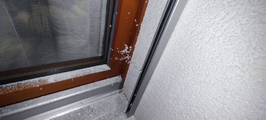  Bienennest entfernen