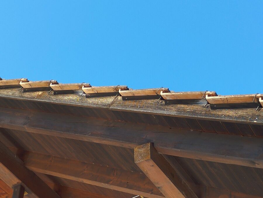 Bienen umsiedeln &  Bienennest entfernen 