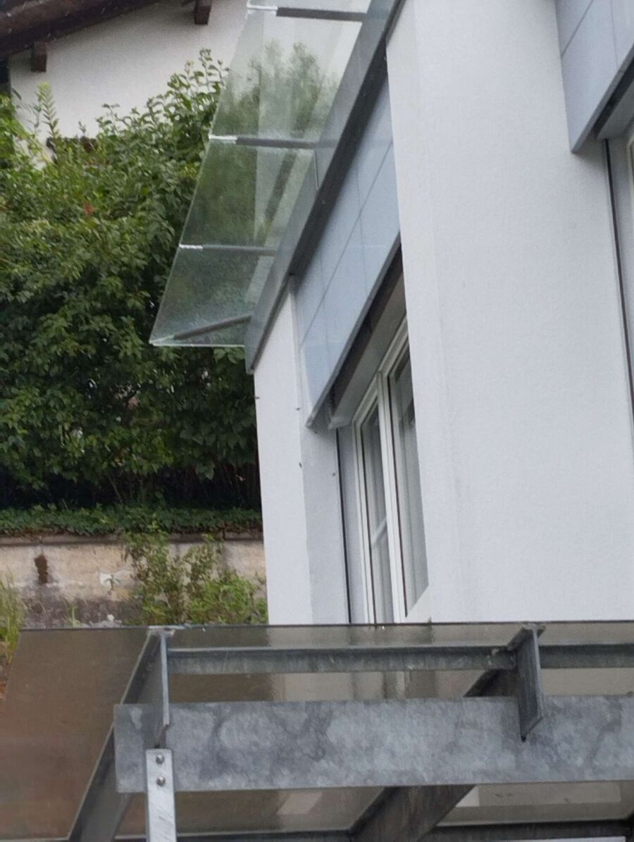  Bienennest entfernen.jpeg