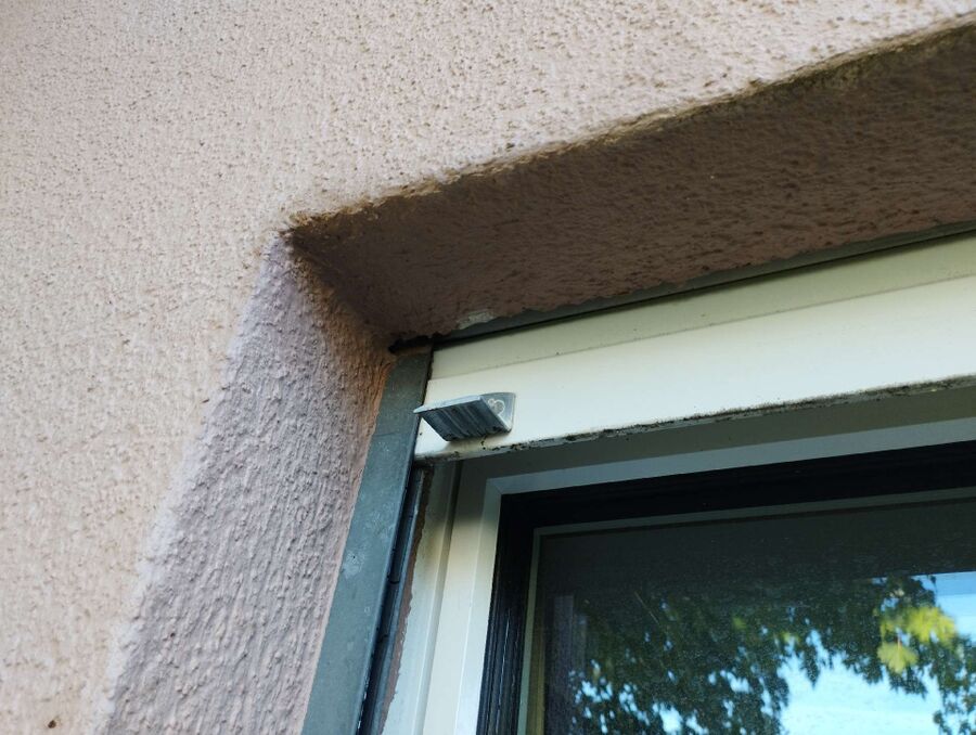 Bienen umsiedeln &  Bienennest entfernen 