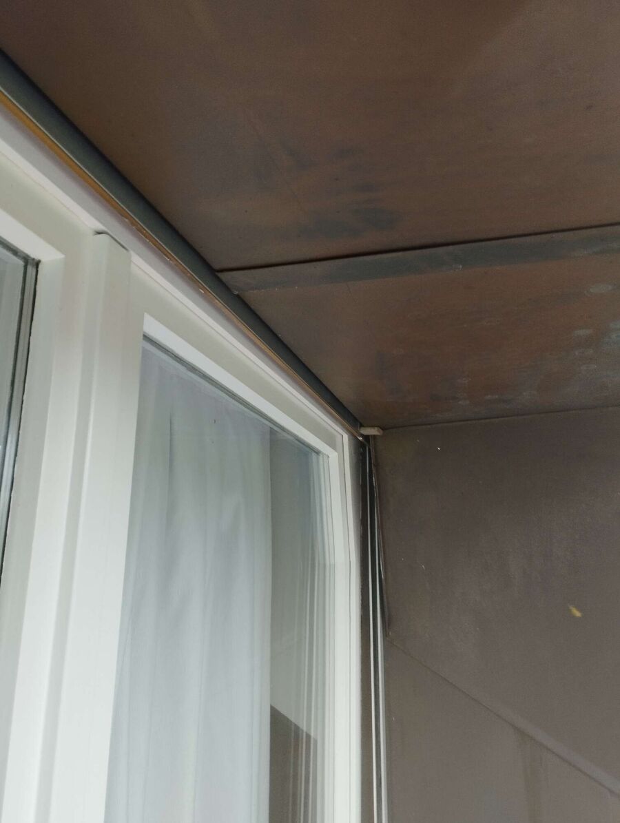  Bienennest entfernen.jpeg