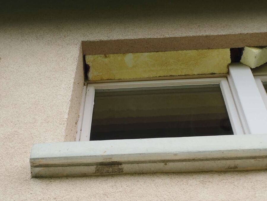  Bienennest entfernen