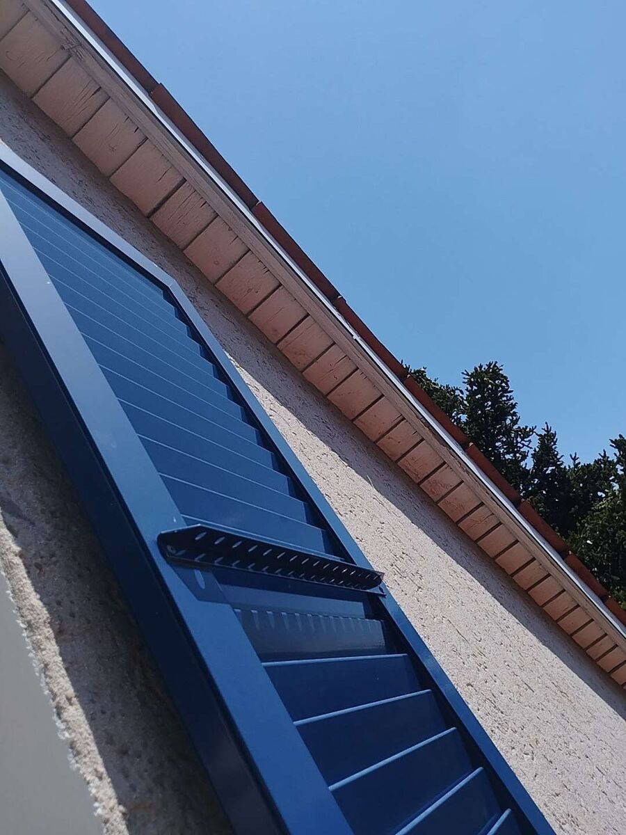 Bienen umsiedeln &  Bienennest entfernen 