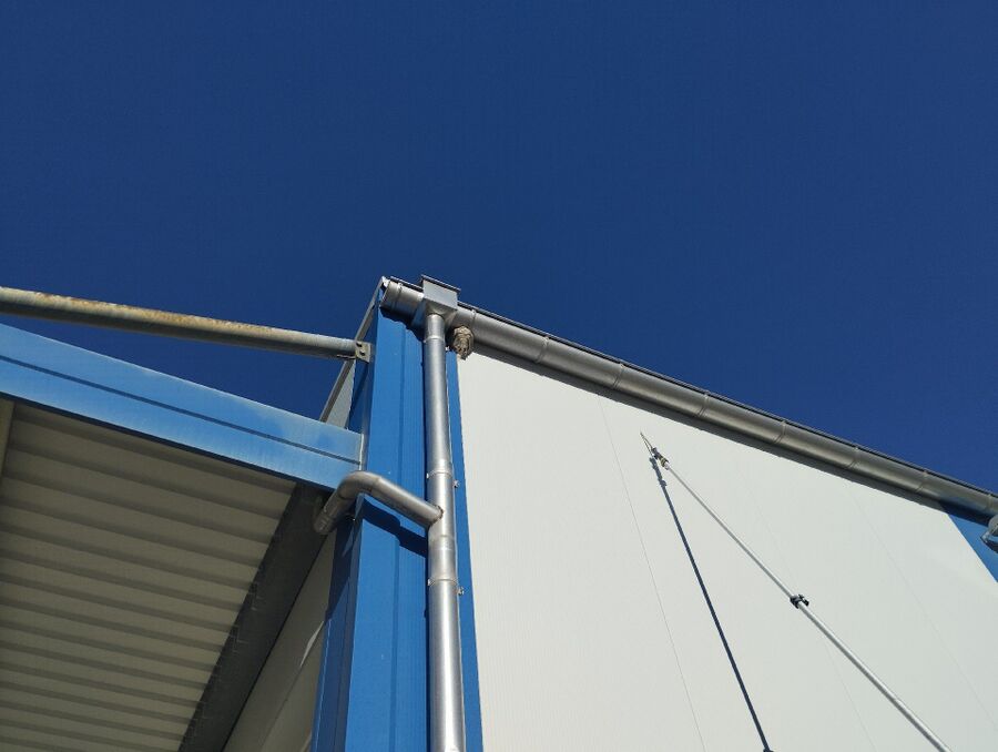  Bienennest entfernen