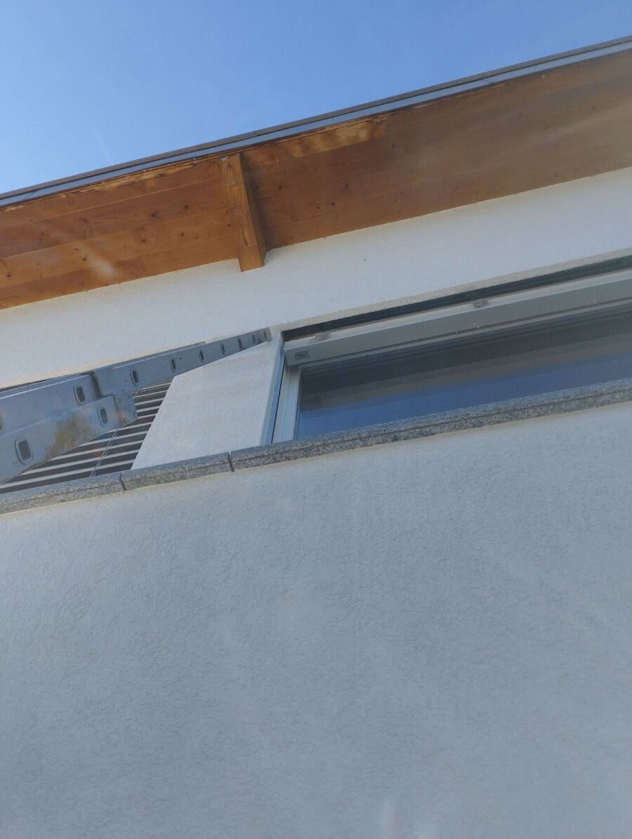  Bienennest entfernen