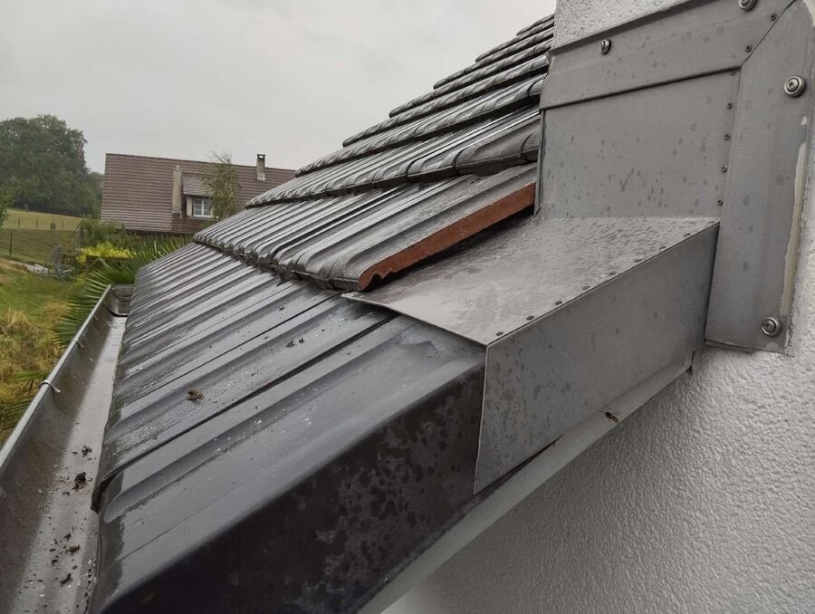 Bienen umsiedeln &  Bienennest entfernen