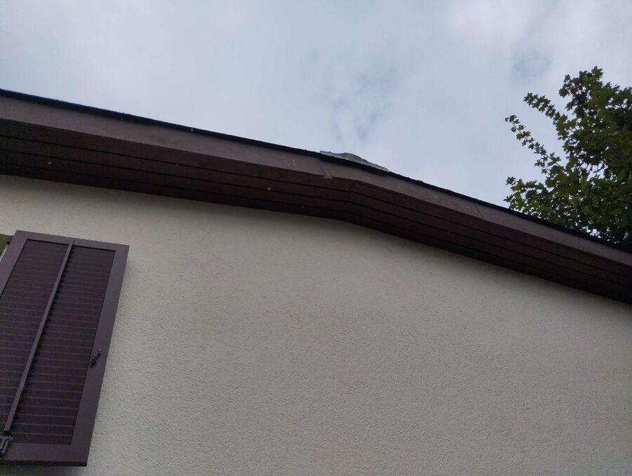  Bienennest entfernen