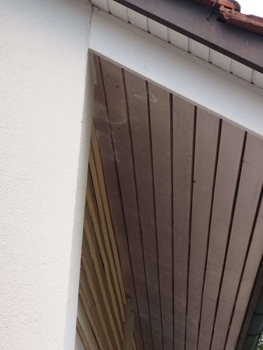  Bienennest entfernen.jpeg