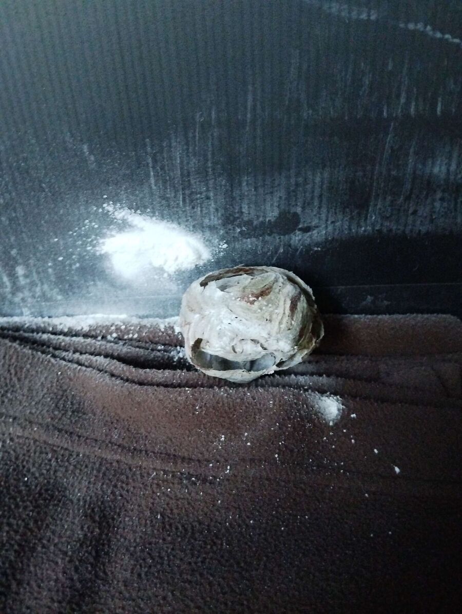  Bienennest entfernen