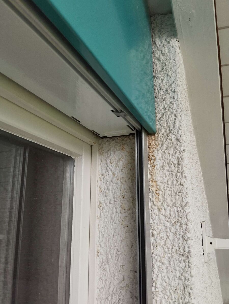  Bienennest entfernen