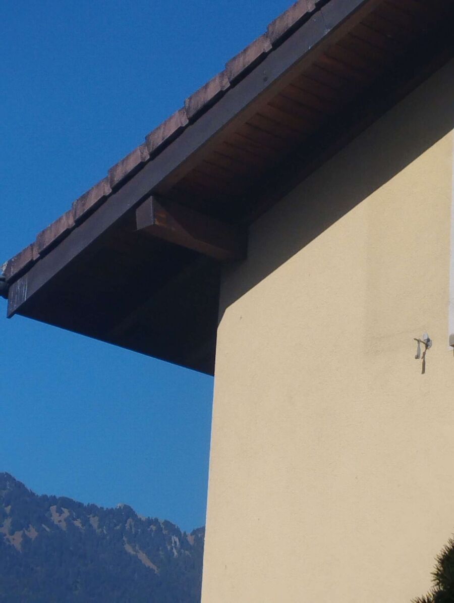  Bienennest entfernen.jpeg