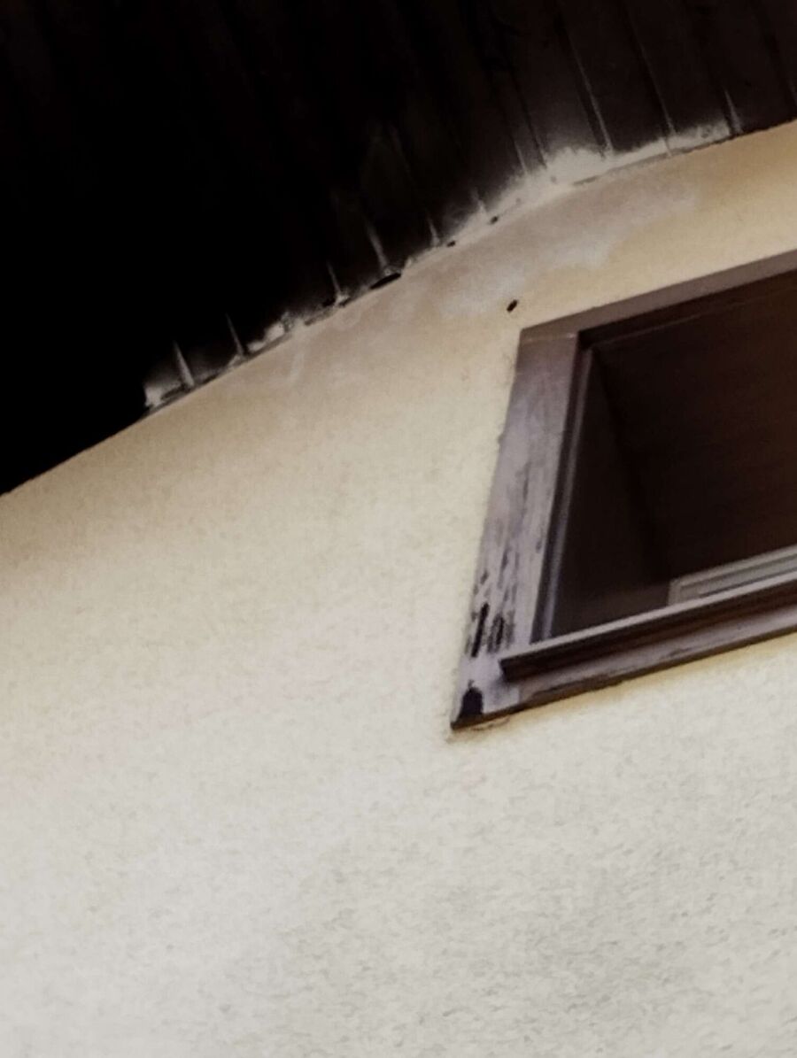  Bienennest entfernen.jpeg