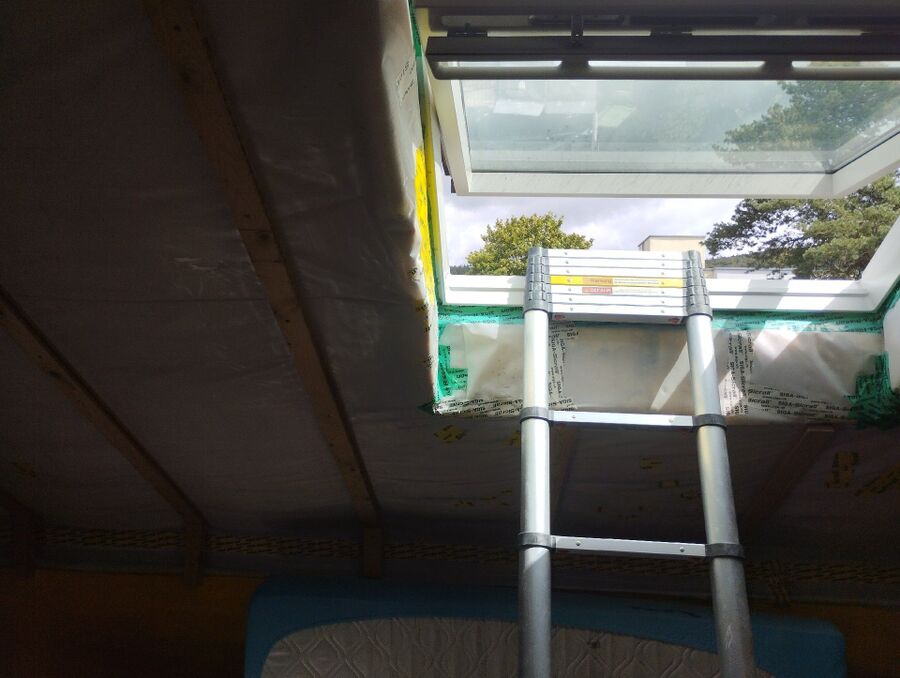 Bienen umsiedeln &  Bienennest entfernen 