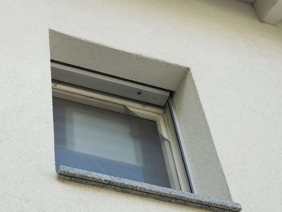  Bienennest entfernen.jpeg