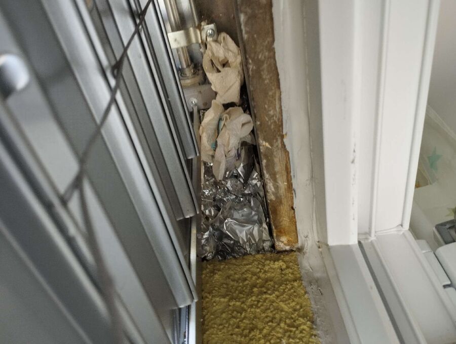  Bienennest entfernen