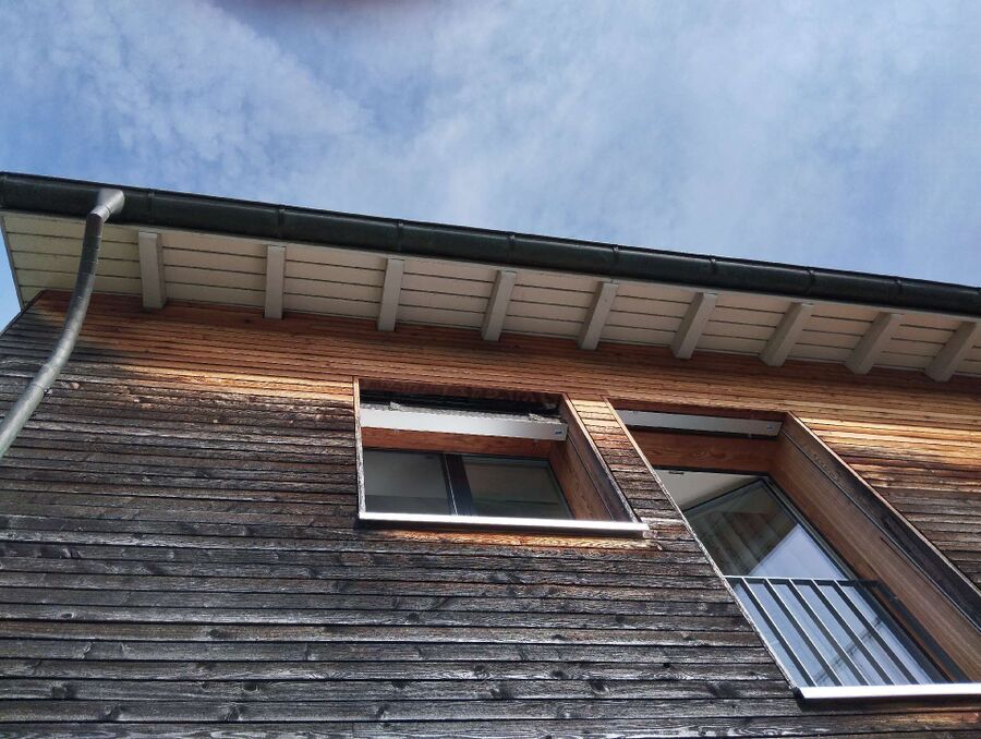 Bienen umsiedeln &  Bienennest entfernen 