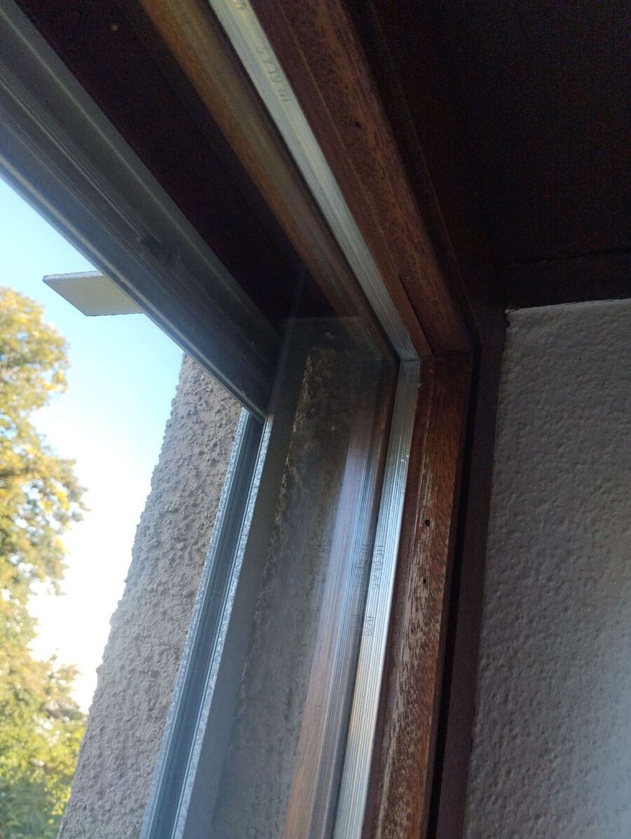  Bienennest entfernen.jpeg