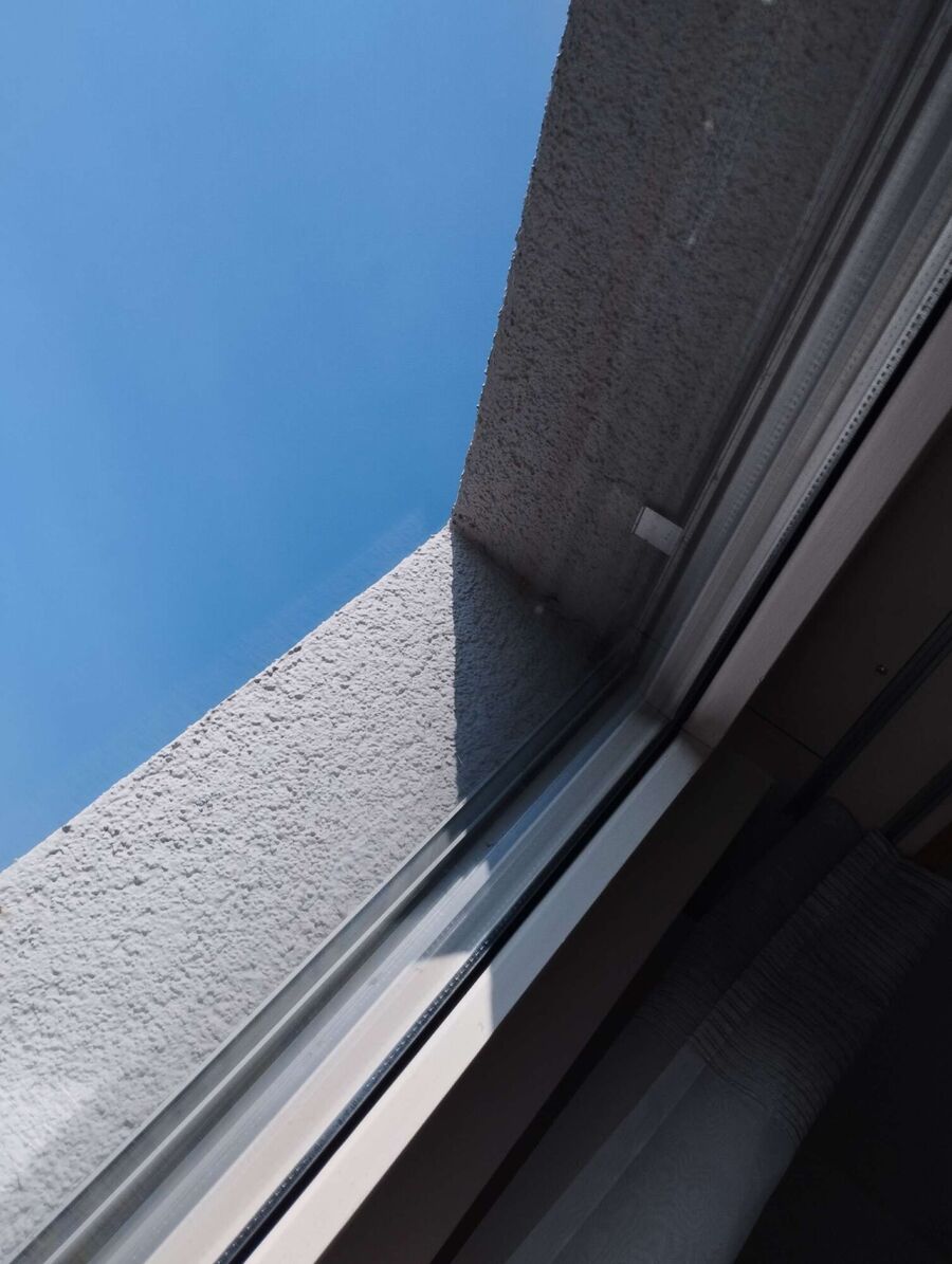  Bienennest entfernen