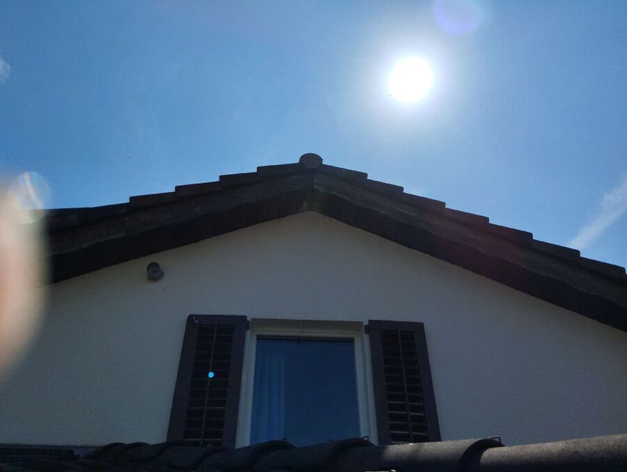  Bienennest entfernen