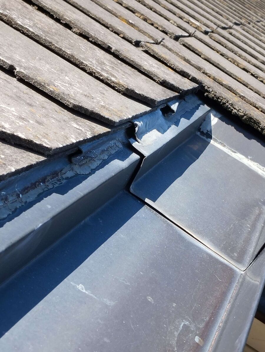  Bienennest entfernen