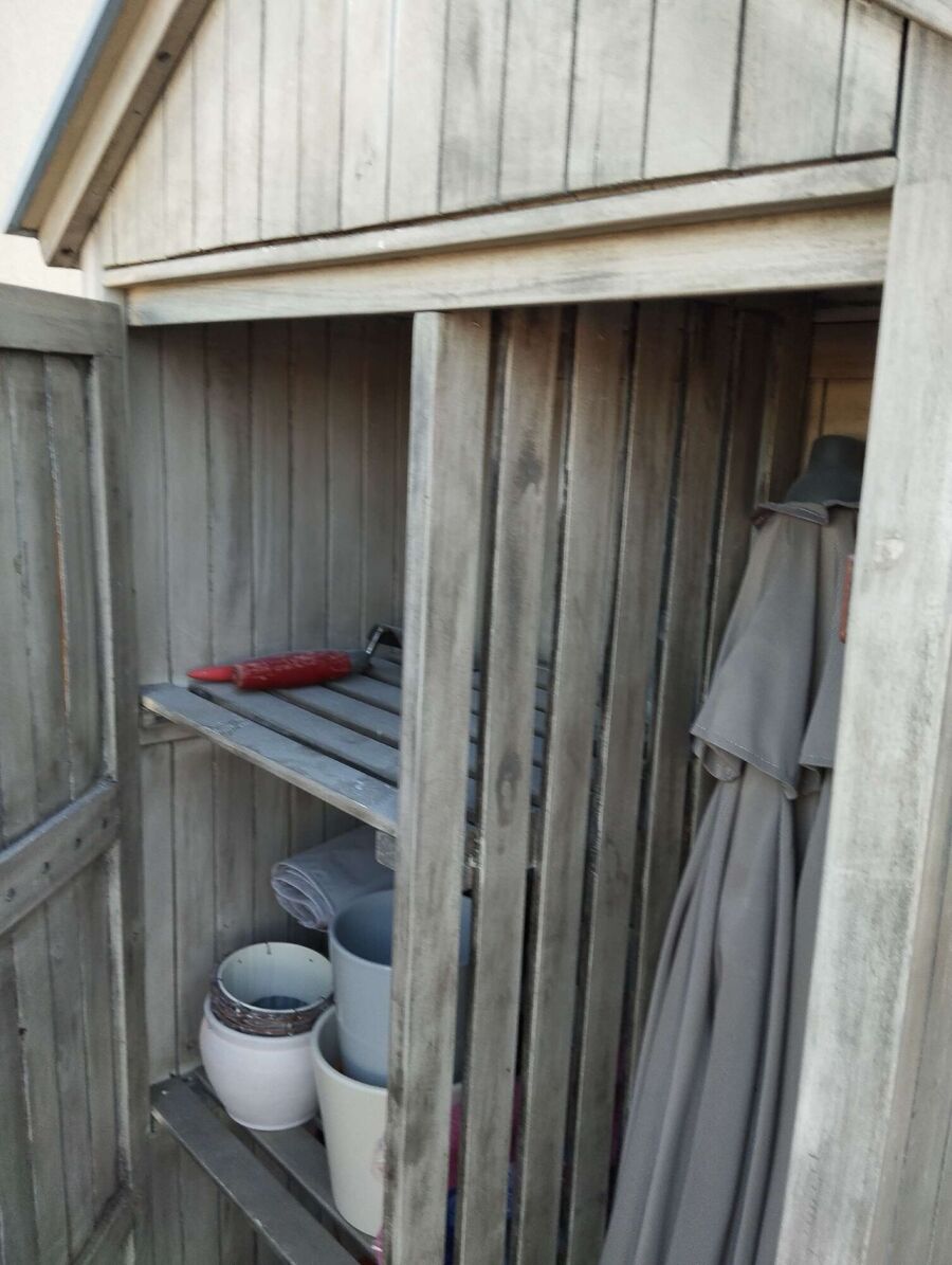 Bienen umsiedeln &  Bienennest entfernen 