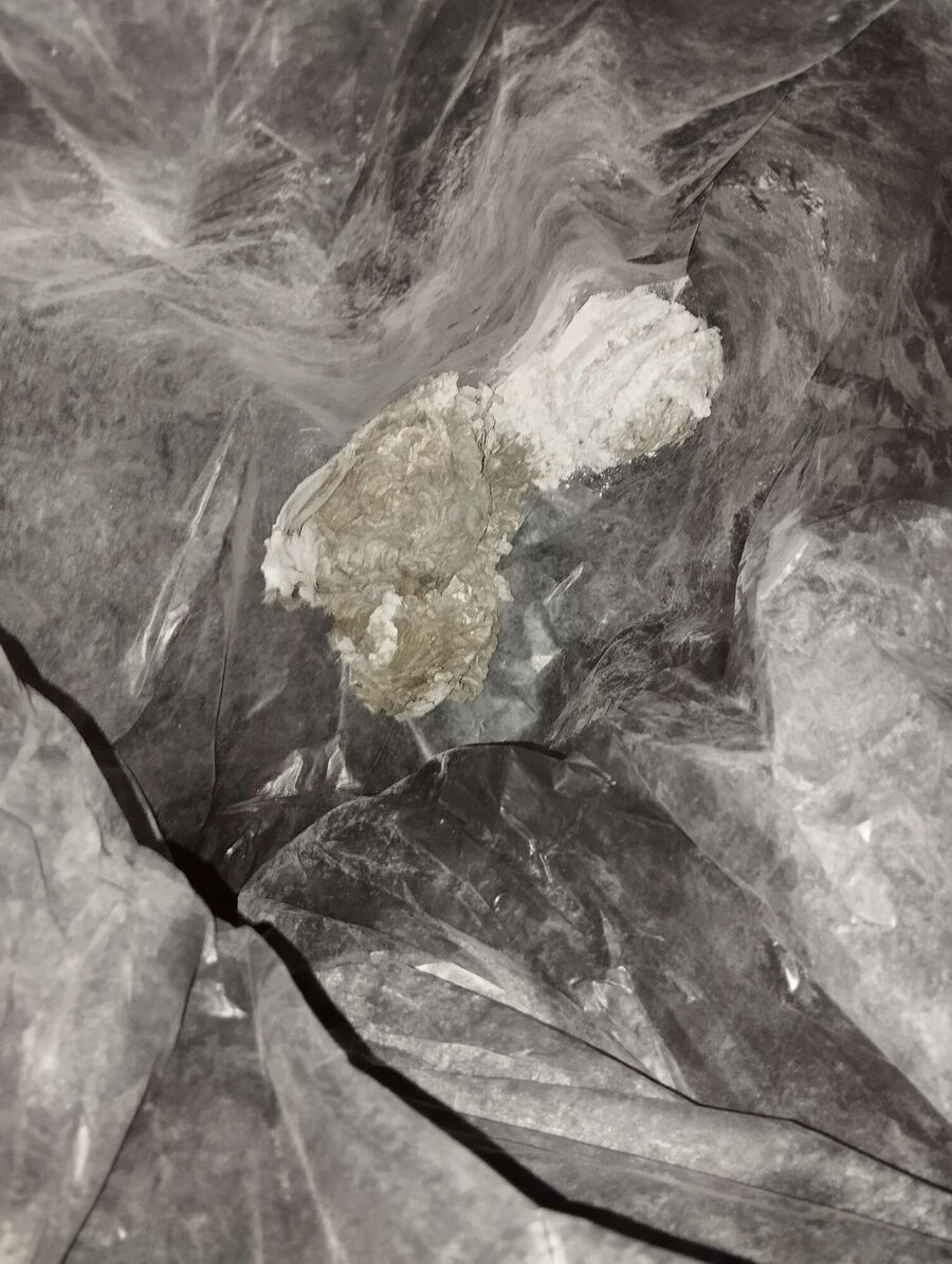  Bienennest entfernen.jpeg