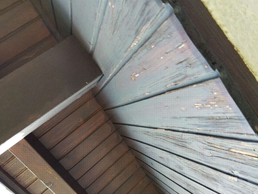 Bienen umsiedeln &  Bienennest entfernen 