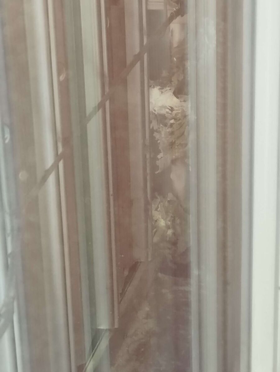 Bienen umsiedeln &  Bienennest entfernen 