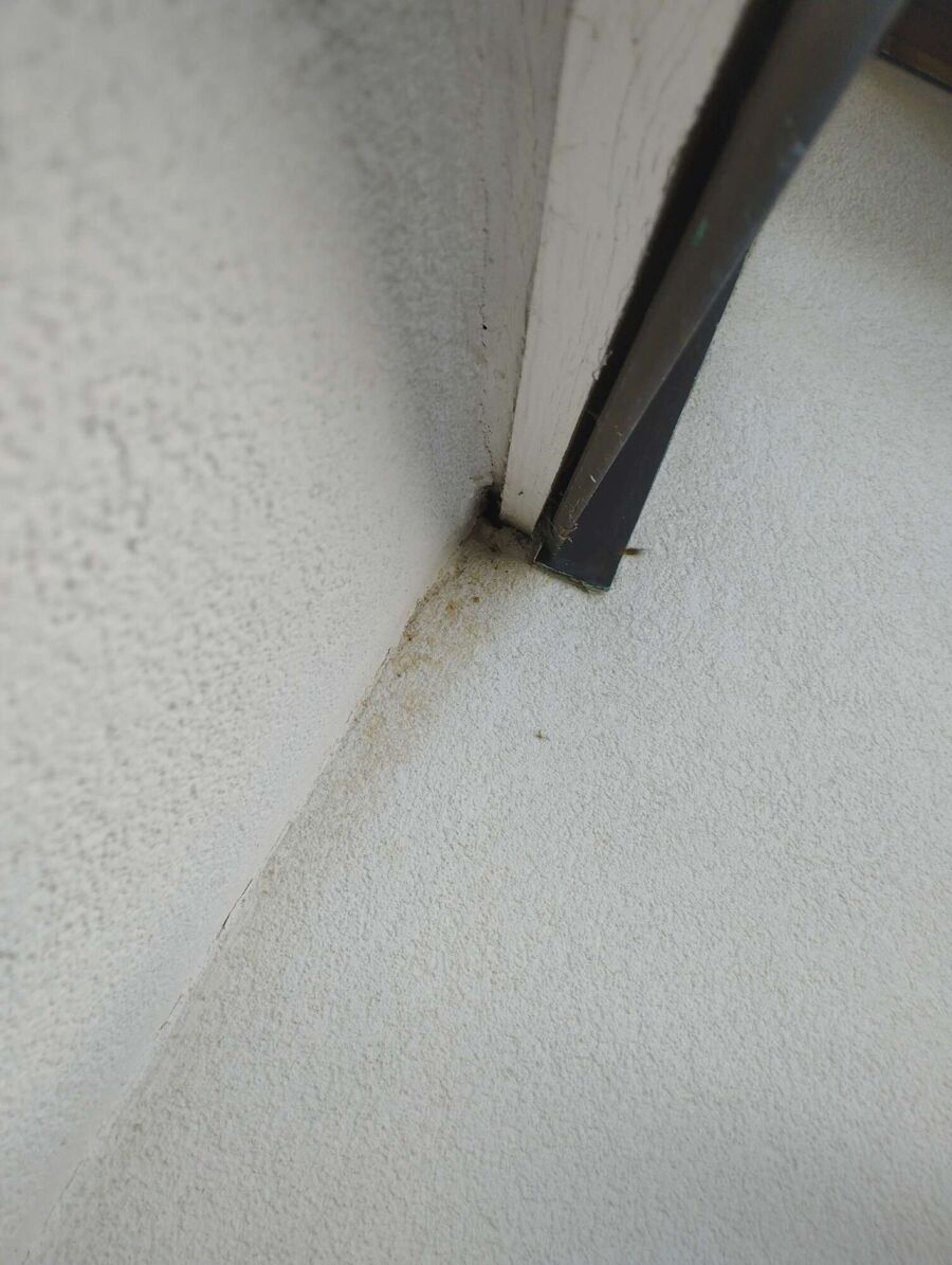  Bienennest entfernen.jpeg