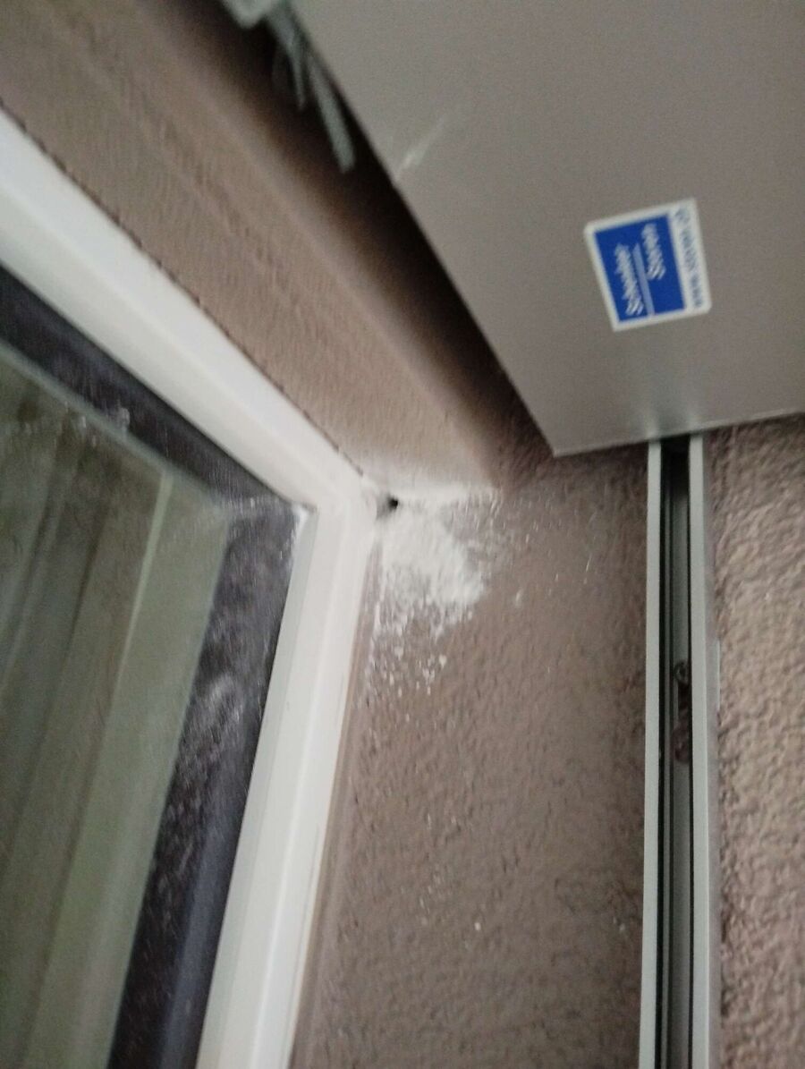  Bienennest entfernen