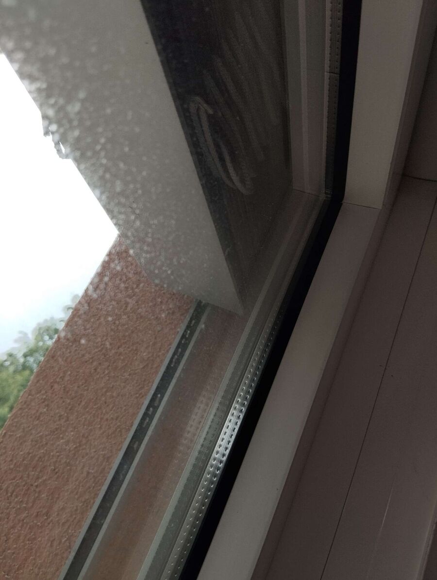  Bienennest entfernen