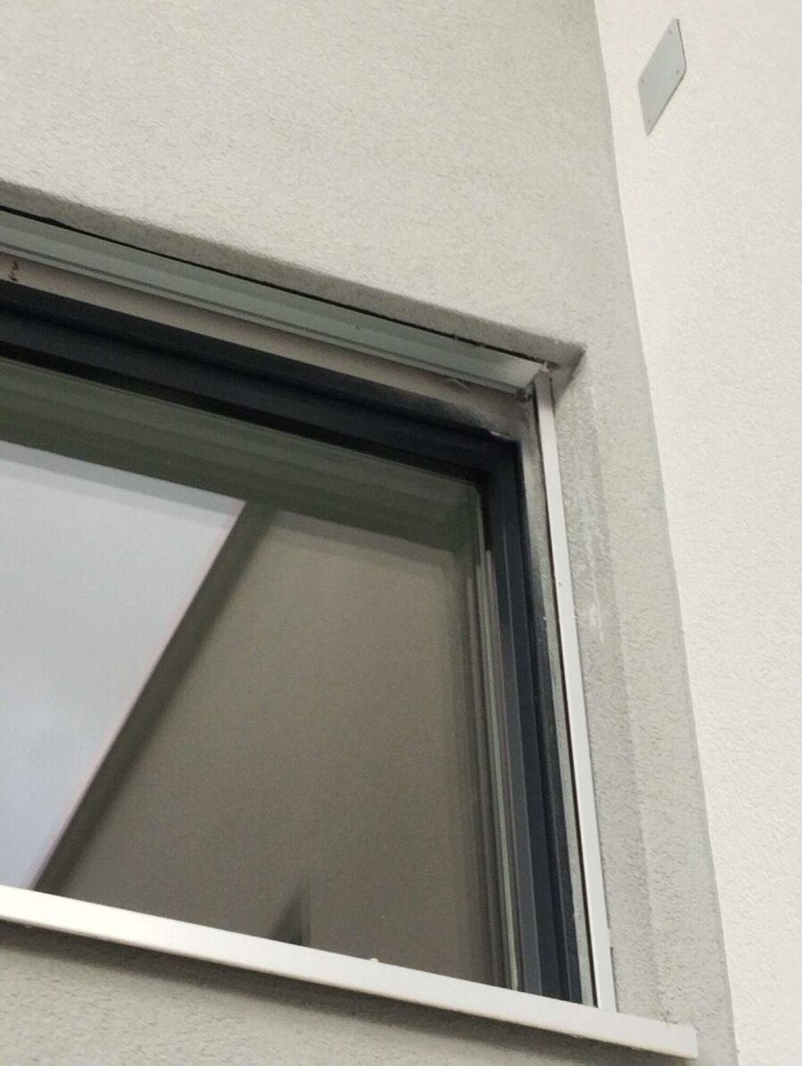  Bienennest entfernen.jpeg