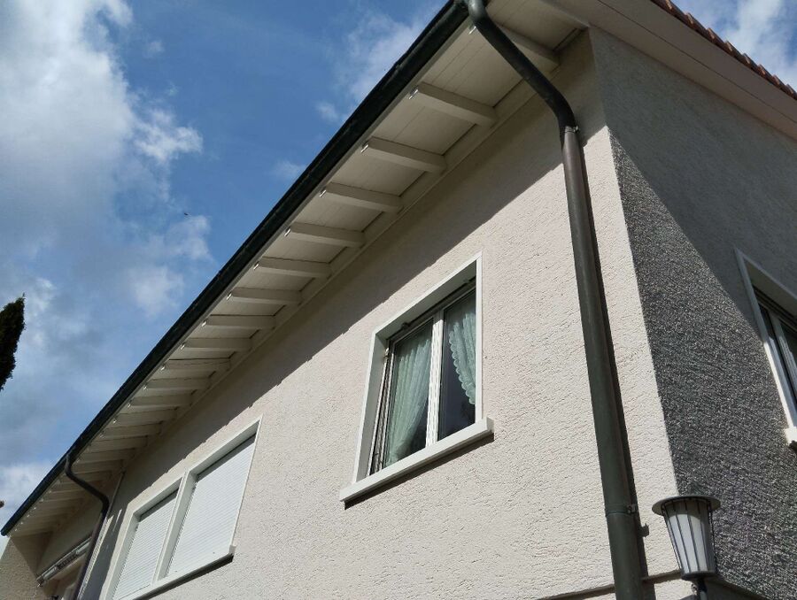  Bienennest entfernen.jpeg