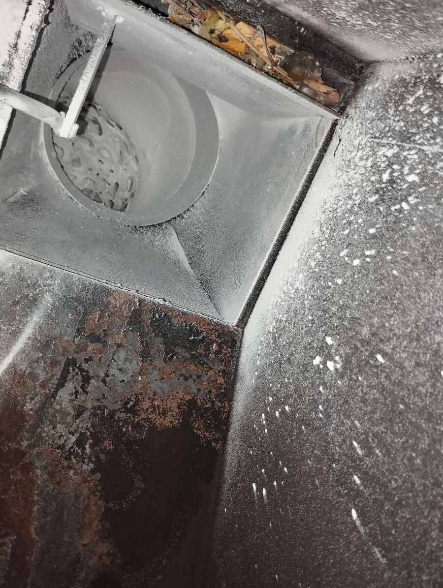  Bienennest entfernen