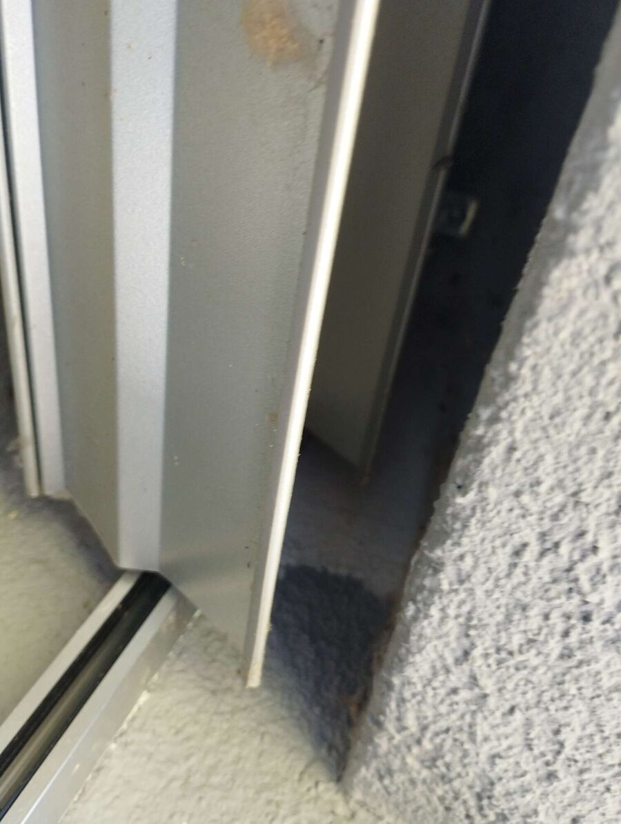 Bienen umsiedeln &  Bienennest entfernen 