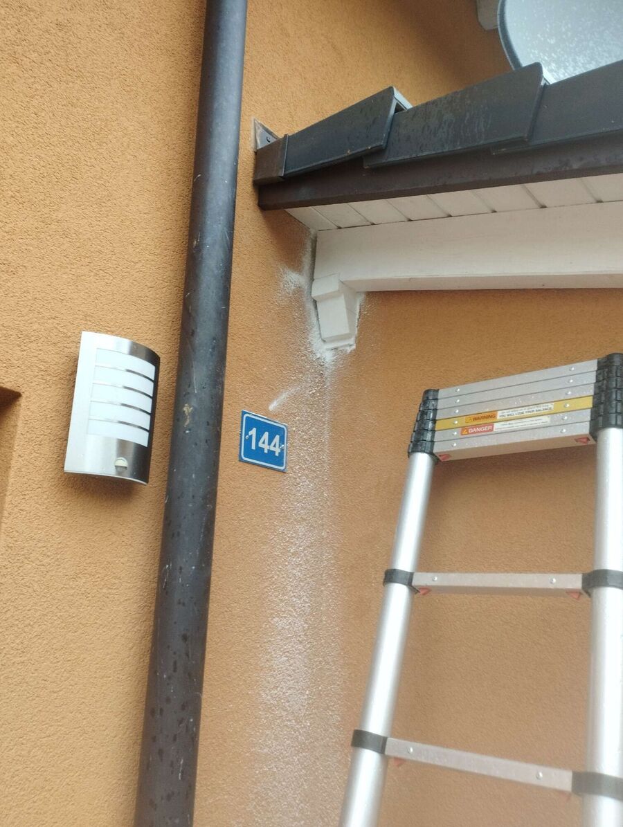  Bienennest entfernen.jpeg