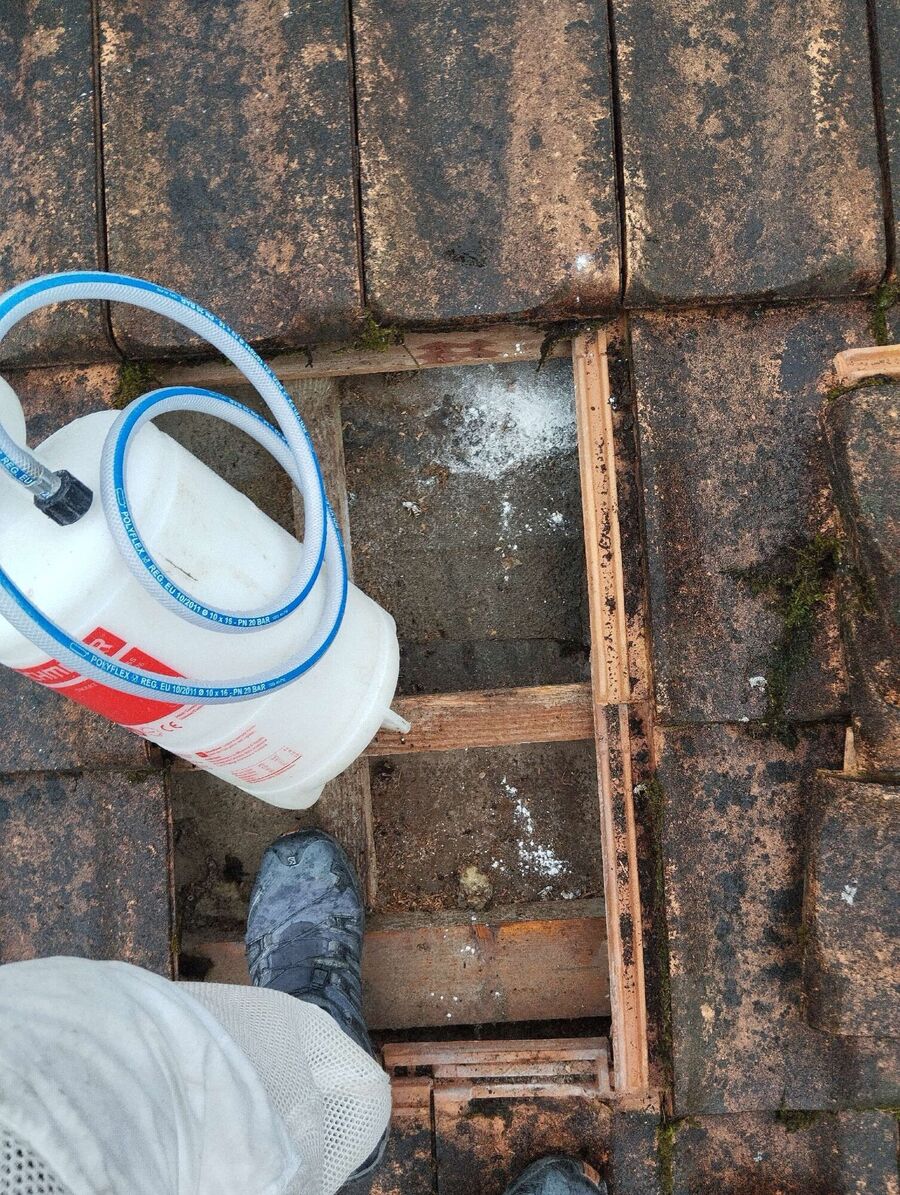  Bienennest entfernen.jpeg