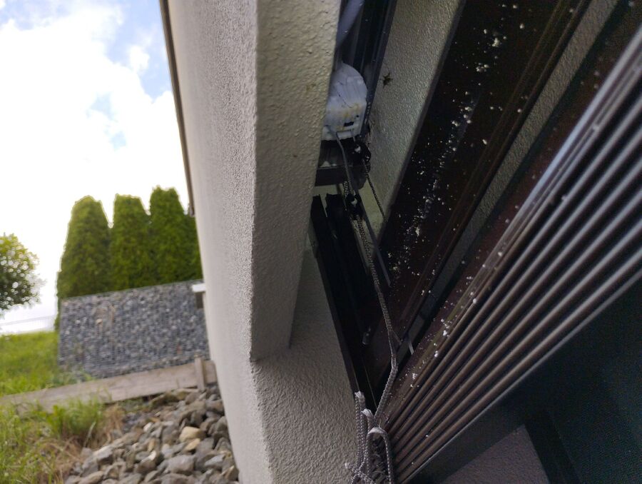 Bienen umsiedeln &  Bienennest entfernen 