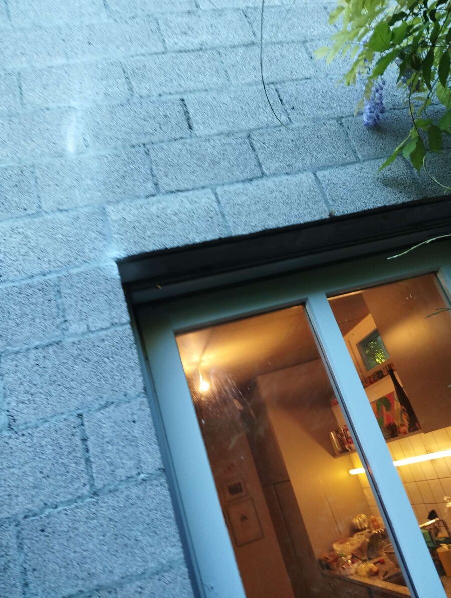  Bienennest entfernen