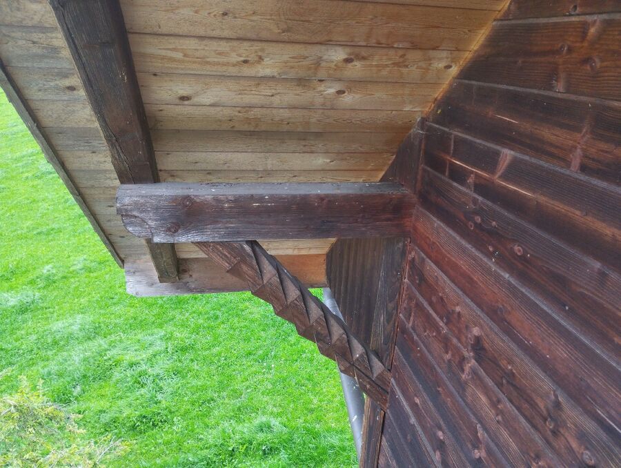  Bienennest entfernen