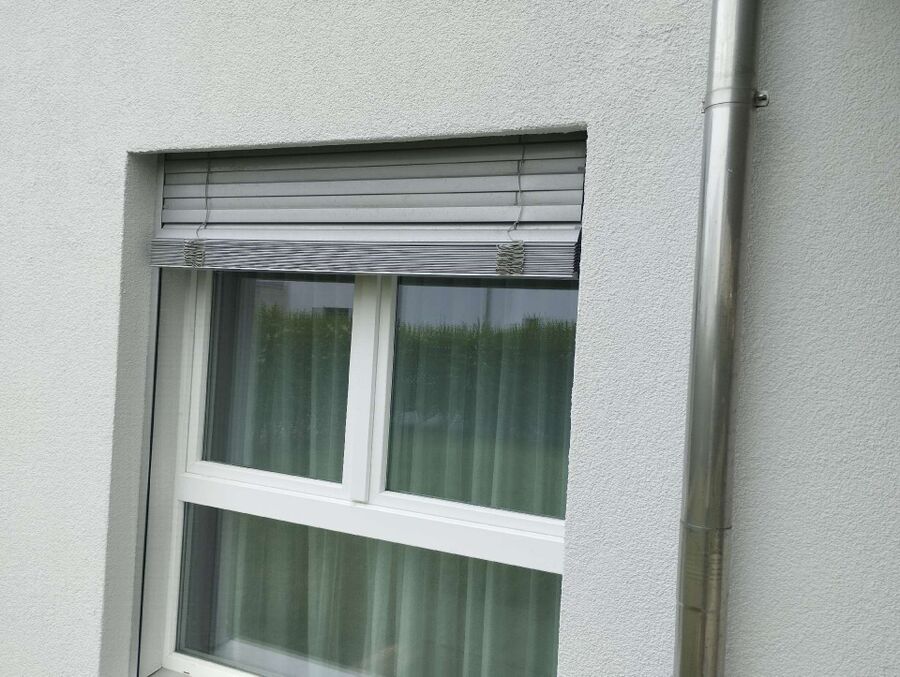  Bienennest entfernen