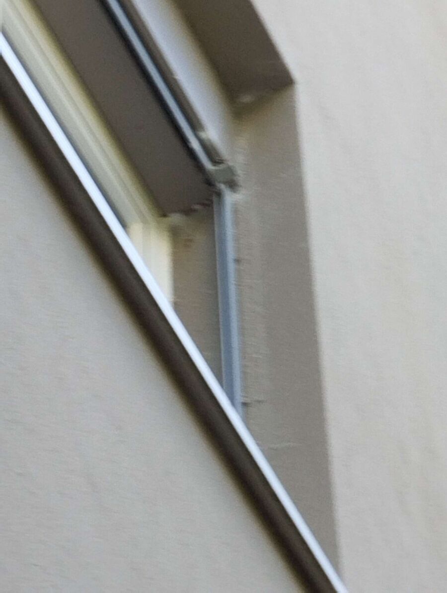 Bienen umsiedeln &  Bienennest entfernen 