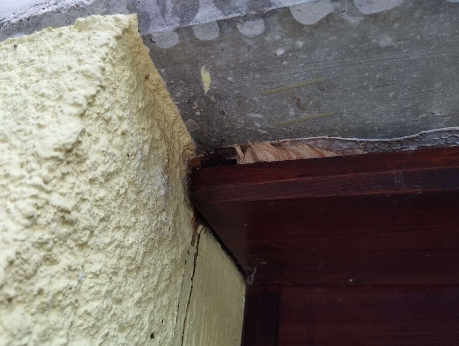 Bienen umsiedeln &  Bienennest entfernen 