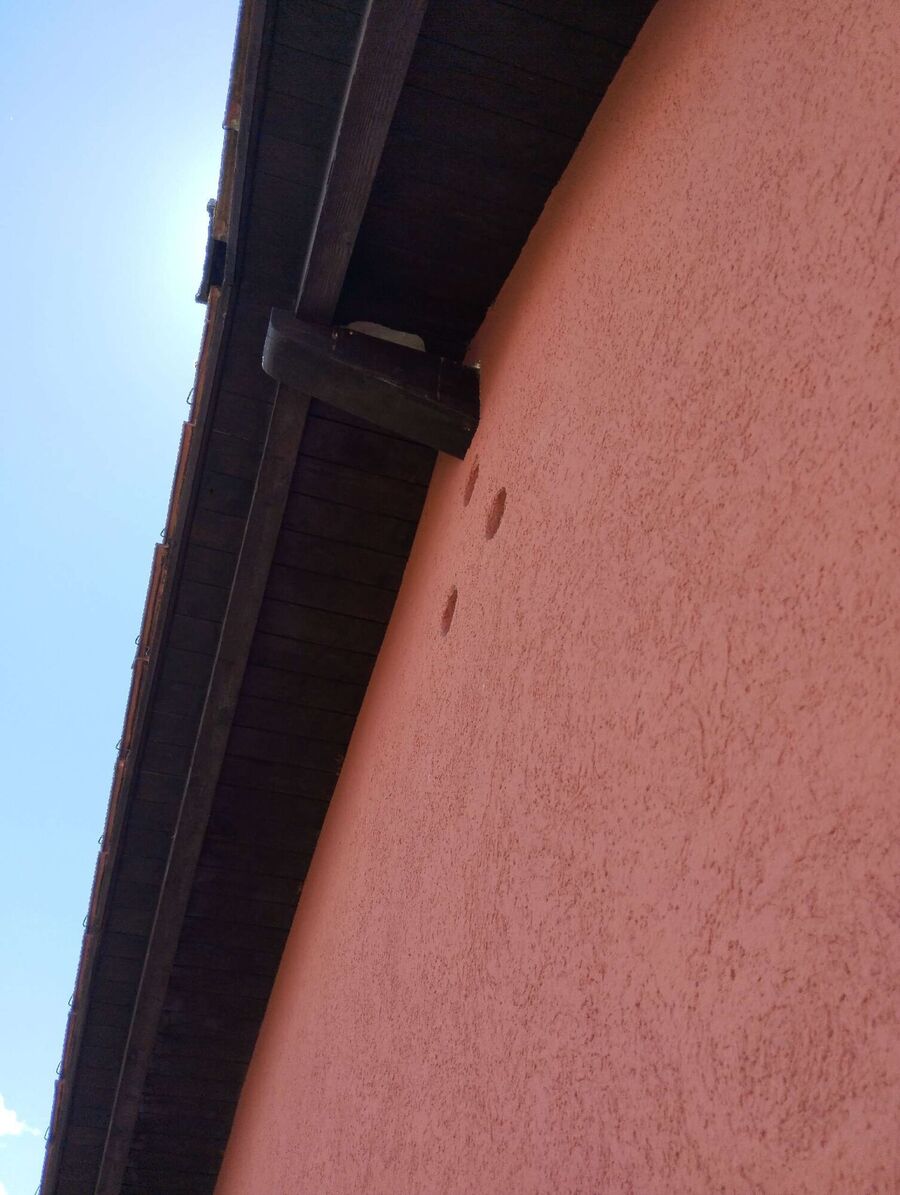  Bienennest entfernen.jpeg