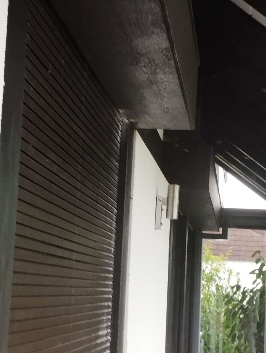  Bienennest entfernen