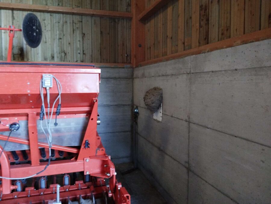  Bienennest entfernen.jpeg